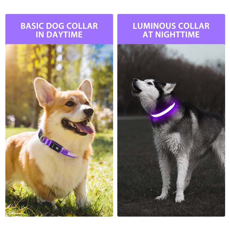 PcEoTllar Light up Dog Collar for Night Walking - LED Dog Collar Light Rechargeable Color Changing, Glow in The Dark Dog Collars Waterproof Glowing Dog Collars for Large Small Medium Dogs - Image 2